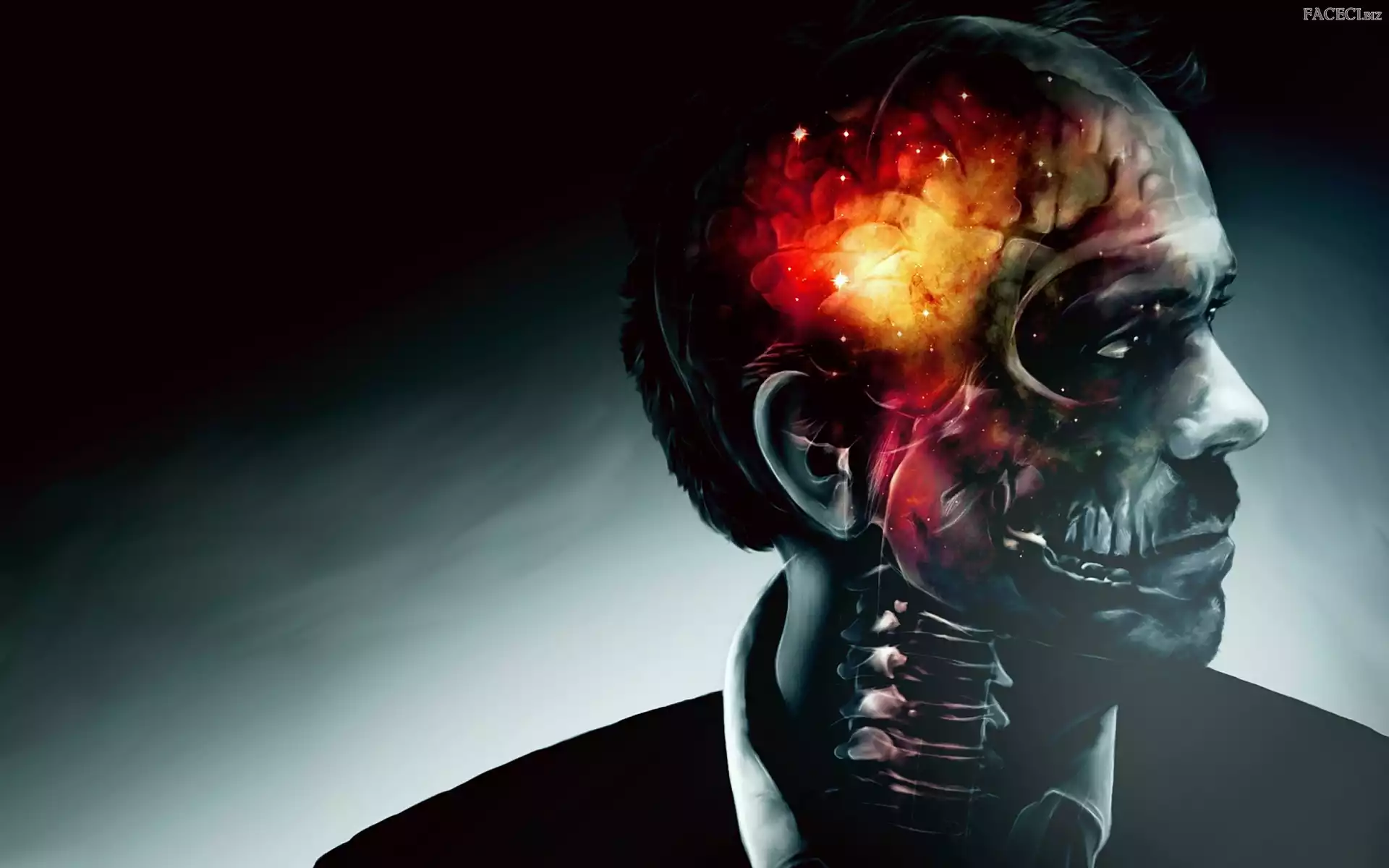 Hugh Laurie, Mózg, Głowa, Człowiek, Czaszka